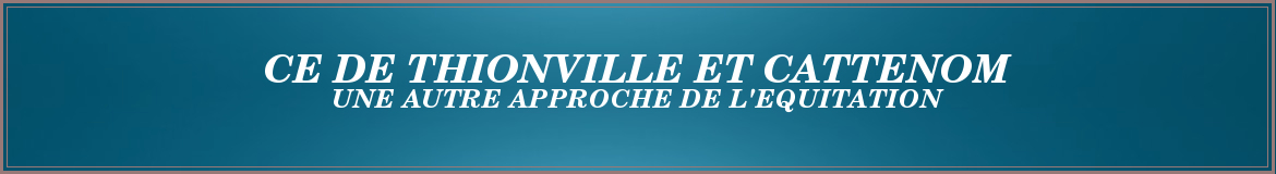 CE DE THIONVILLE ET CATTENOM